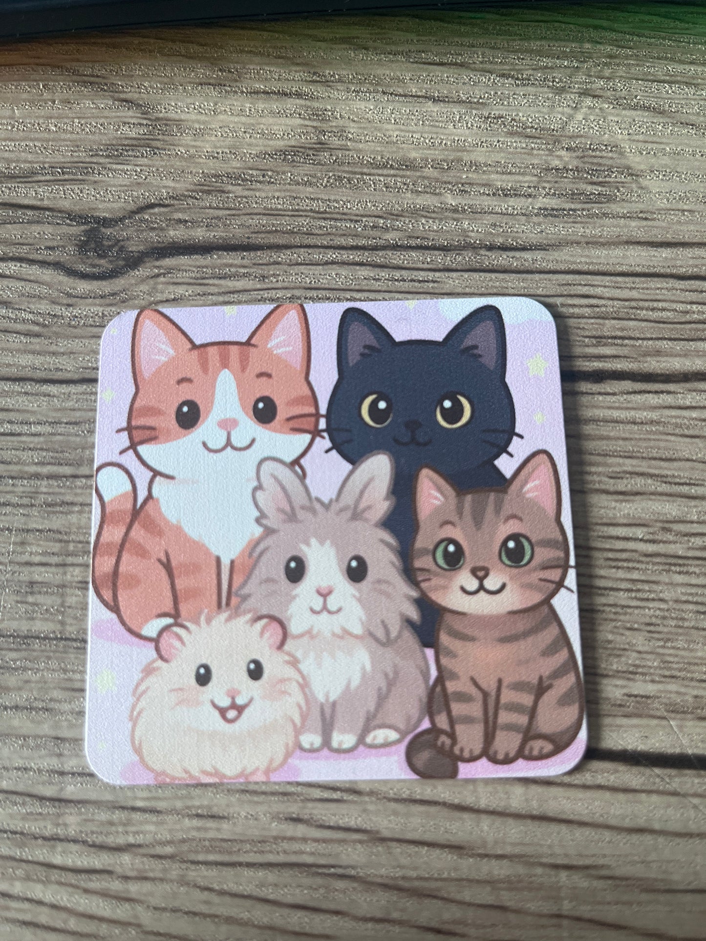 🧲 Magnet Famille PokeQueen – 2,99€