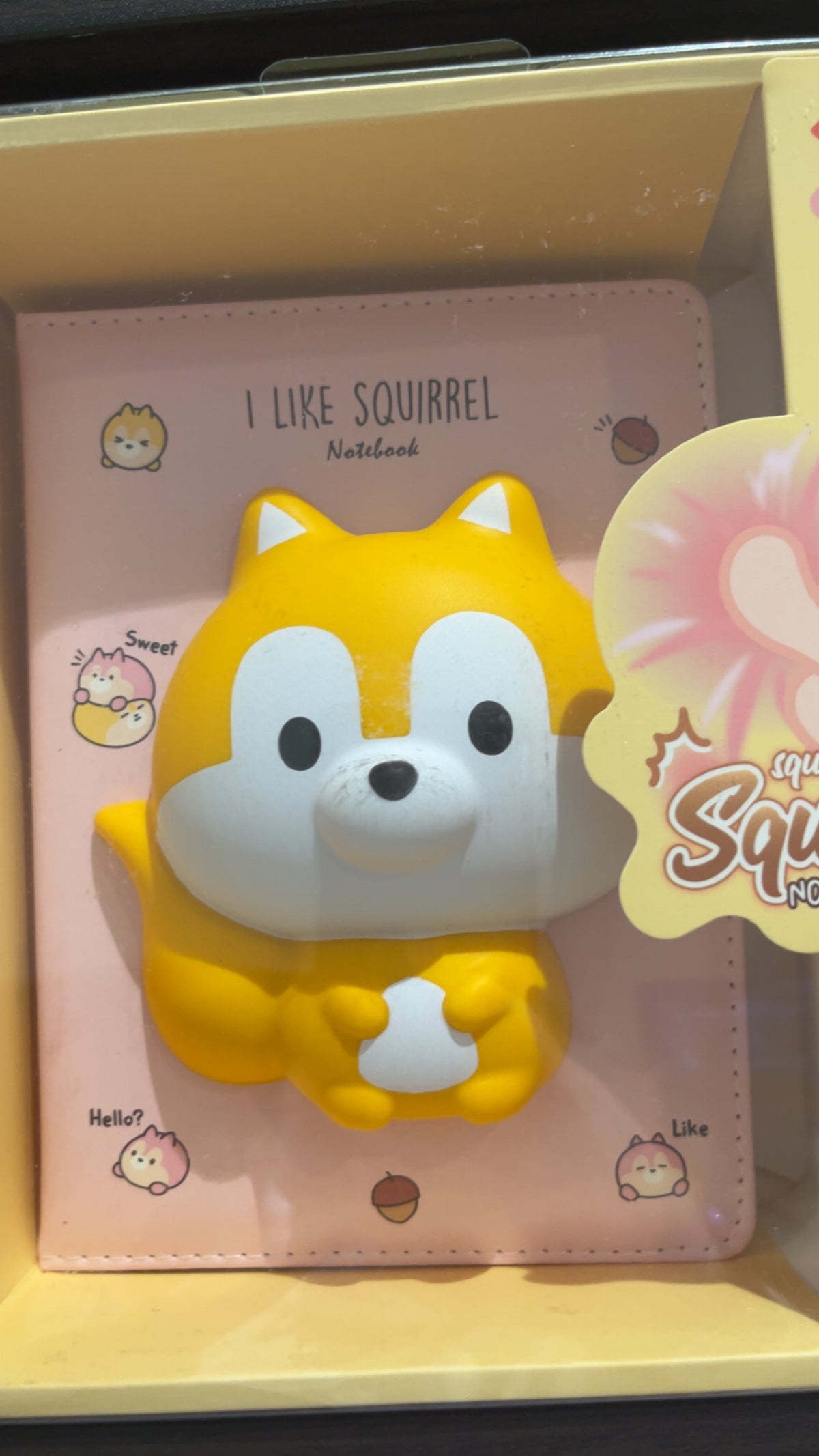 Carnet Squishy premium