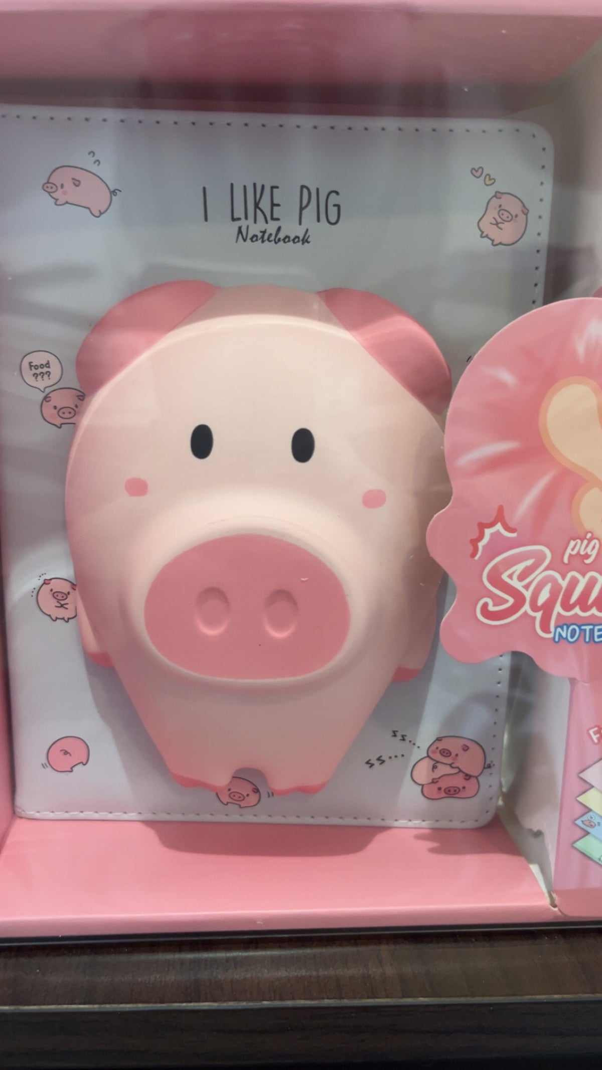 Carnet Squishy premium