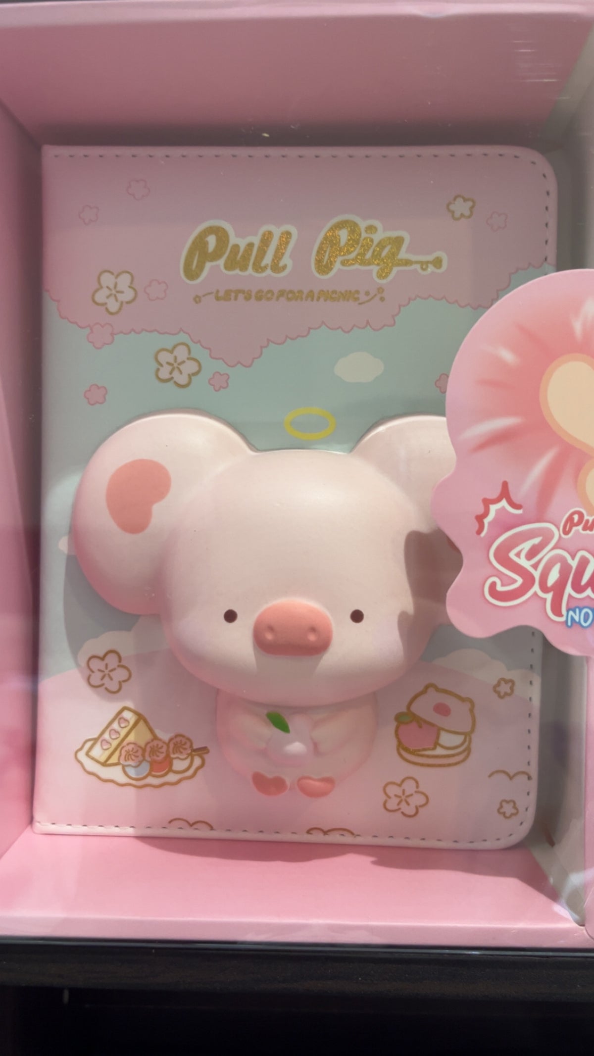 Carnet Squishy premium
