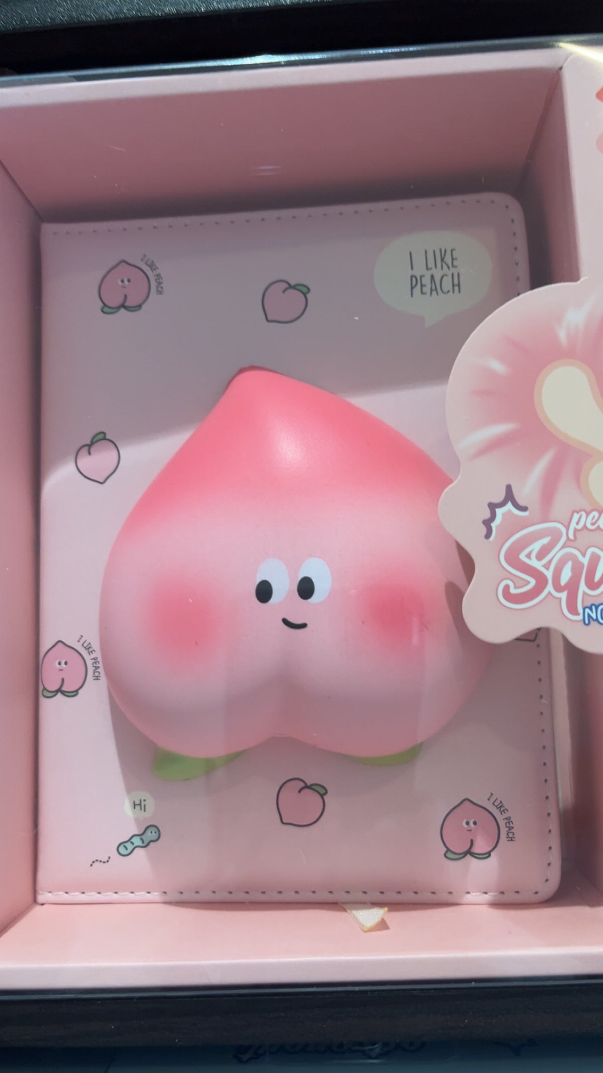 Carnet Squishy premium