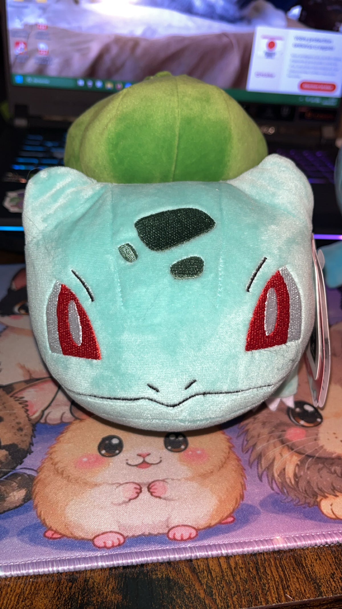 Peluche pokemon
