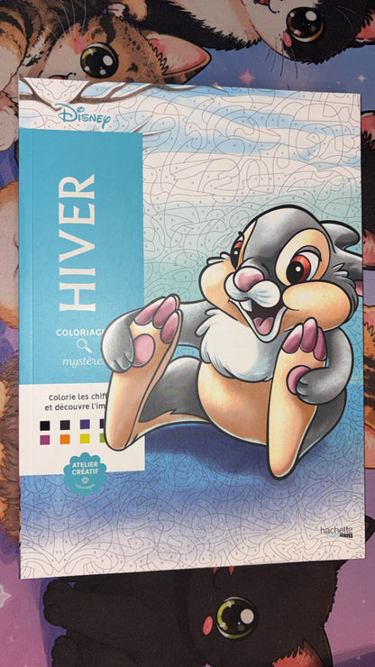 Livre de coloriage Hachette