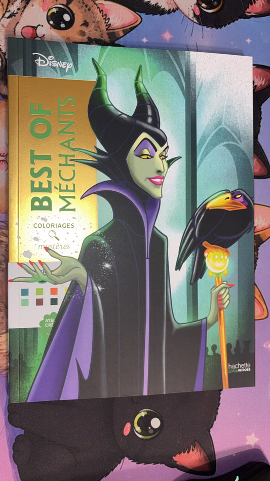 Livre de coloriage Hachette