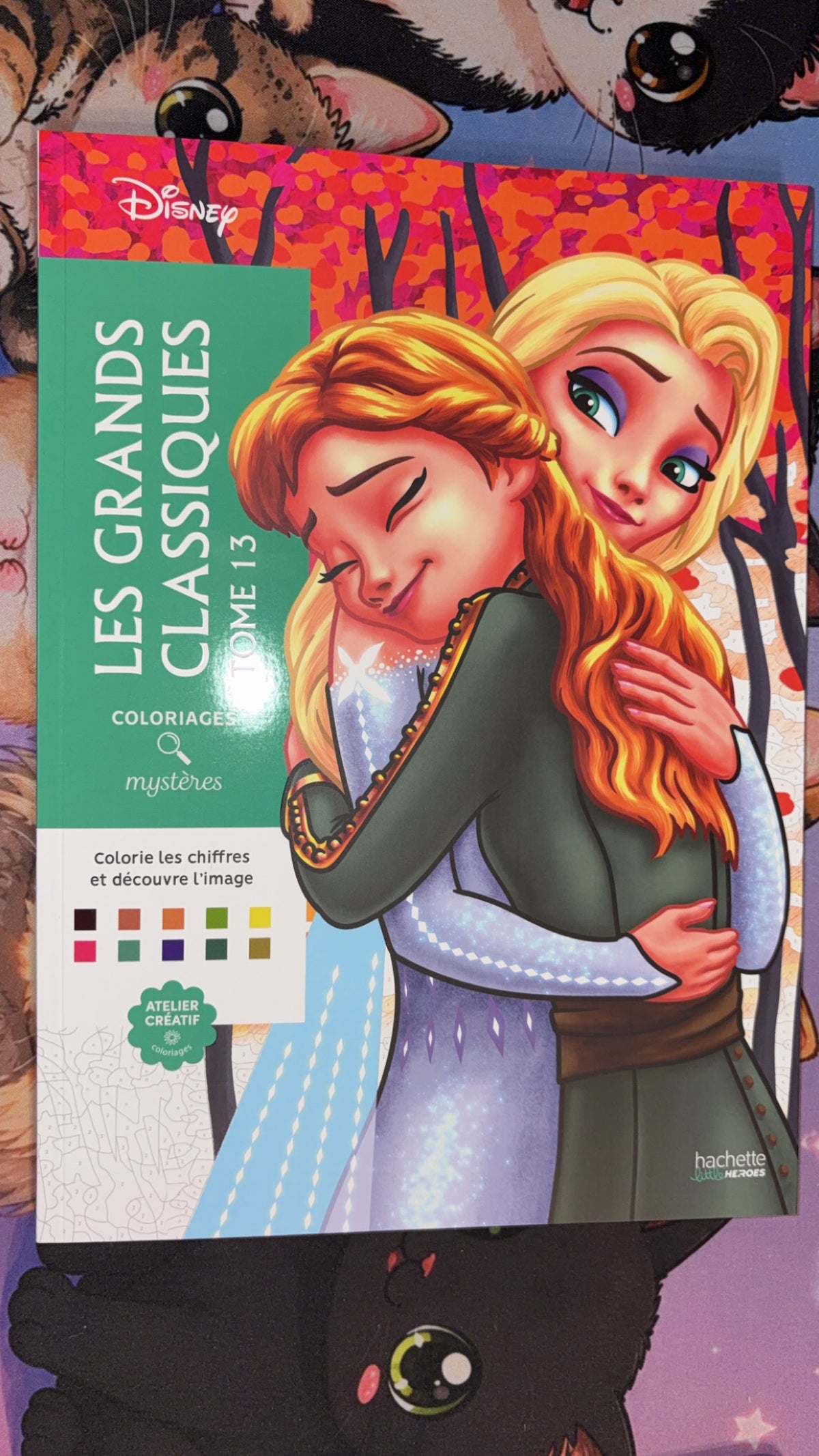 Livre de coloriage Hachette